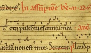 Tota pulchra es - Psallentes, Arnaud Van de Cauter - Composition Jean-Pierre Deleuze - Manuscrit Cambrai