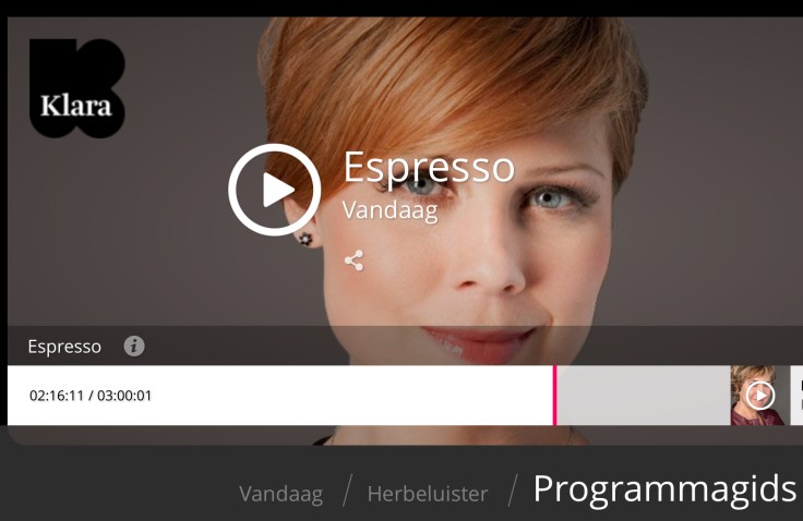 Cara Van der Auwera. Gesprek met Hendrik Vanden Abeele over Lam Gods.